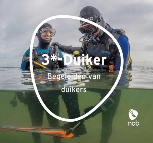 Duiker 3-ster